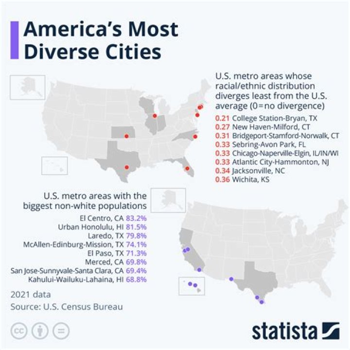Exploring the Most Diverse Cities in the US: A Comprehensive Guide