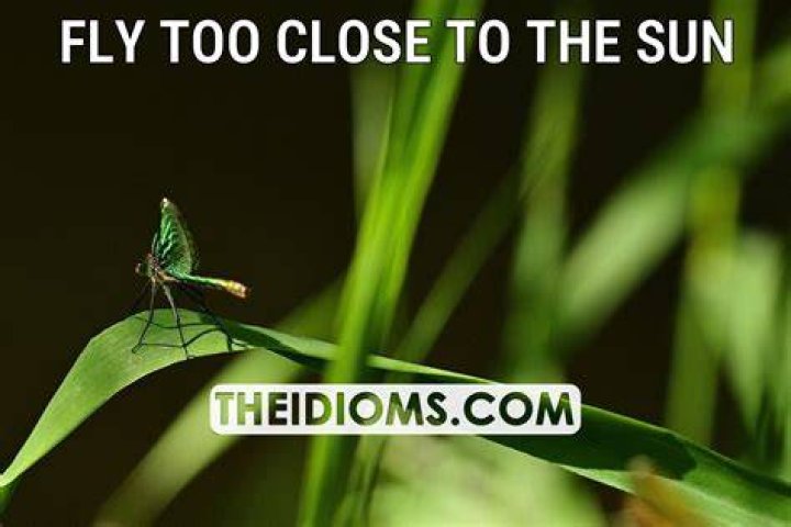 Fly Too Close To The Sun: Unveiling the Secrets Behind the Phrase