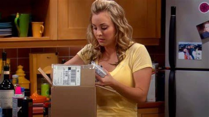 Penny's Last Name on The Big Bang Theory: Unveiling the Mystery