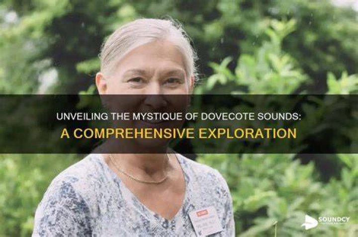 Unveiling the Mystique of the South: A Comprehensive Exploration