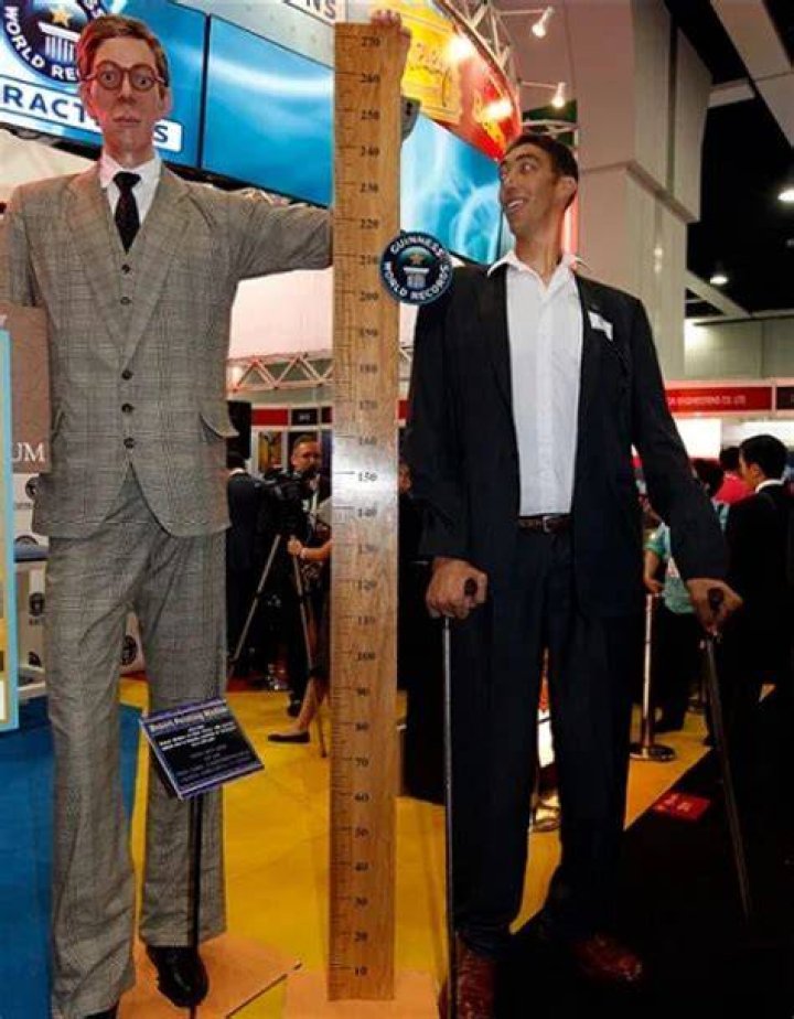 Who is the Tallest Man in the World? Discovering the Extraordinary Heights of Humanity